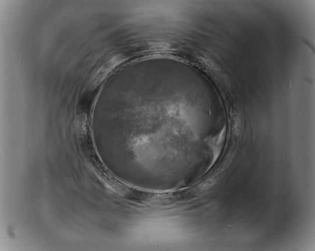 X0000098191161200805221510