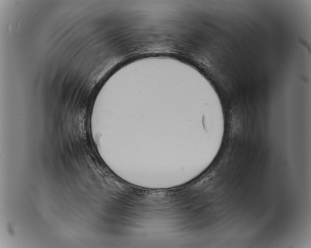 X0000098191162200805221510
