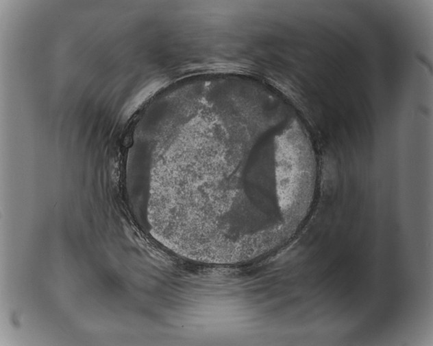 X0000098191163200805221510