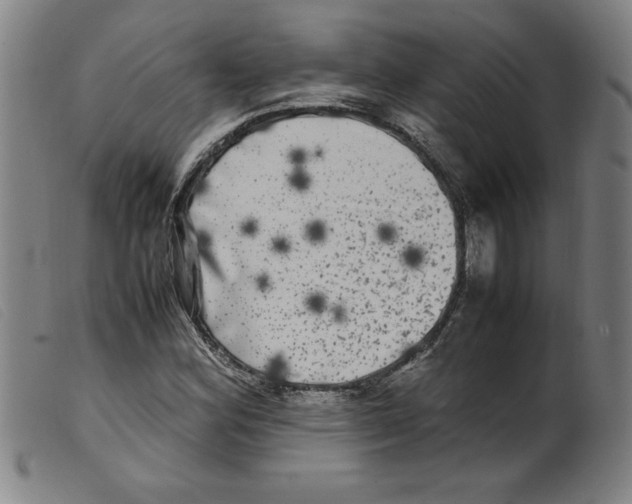 X0000098191164200805221510