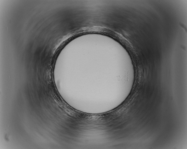 X0000098191166200805221510