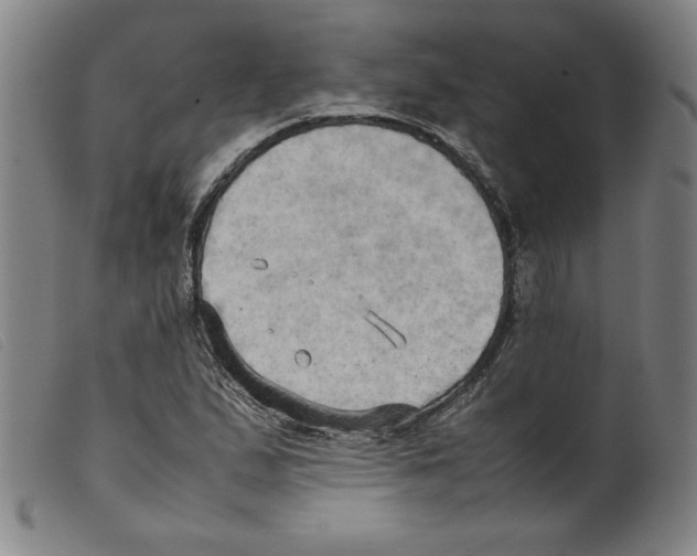 X0000098191167200805221510
