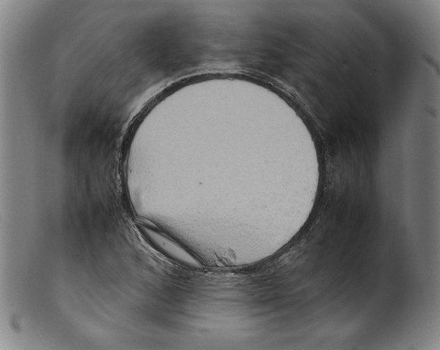 X0000098191168200805221510