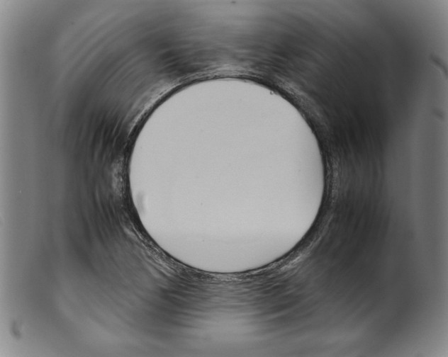X0000098191170200805221510