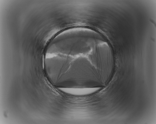 X0000098191171200805221510