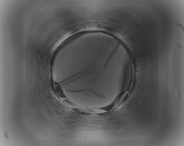 X0000098191173200805221510