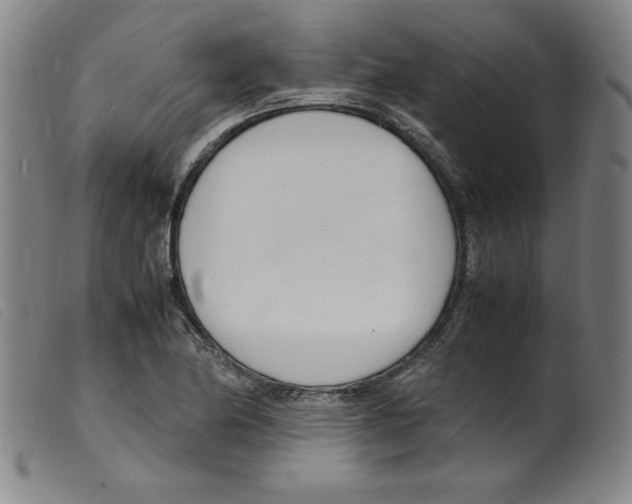 X0000098191174200805221510
