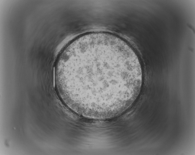 X0000098191175200805221510