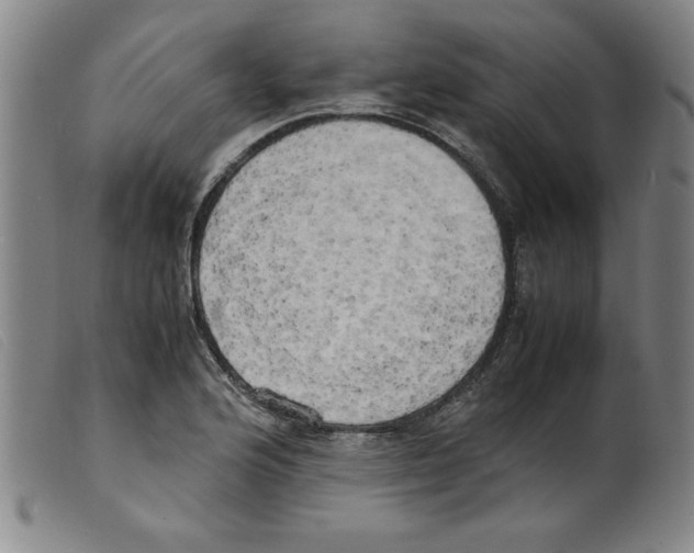 X0000098191176200805221510