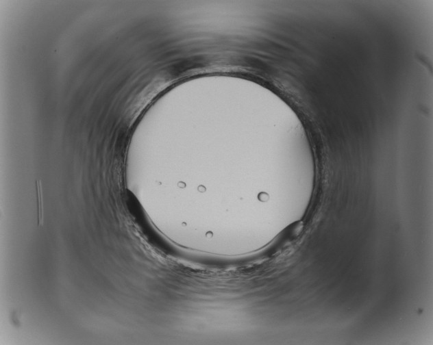 X0000098191177200805221510
