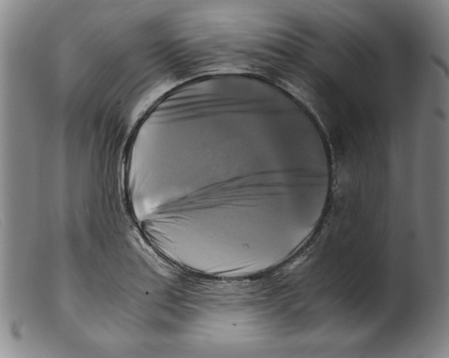 X0000098191179200805221510