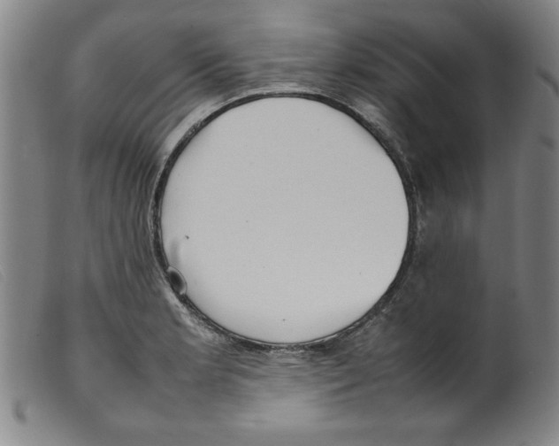 X0000098191181200805221510