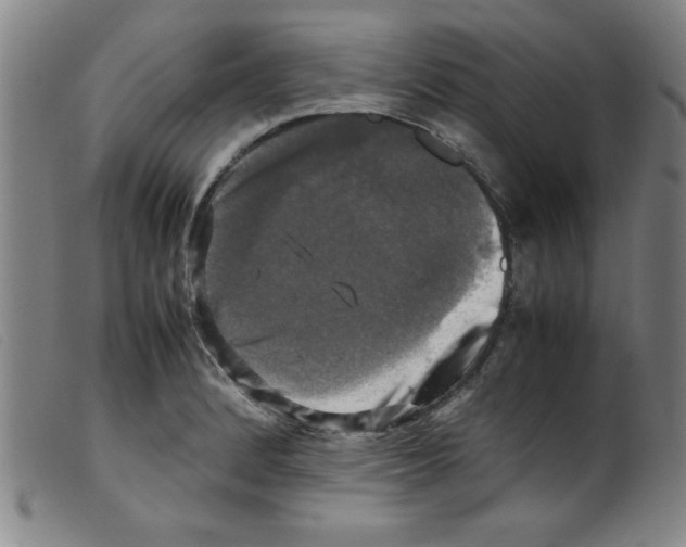 X0000098191184200805221510