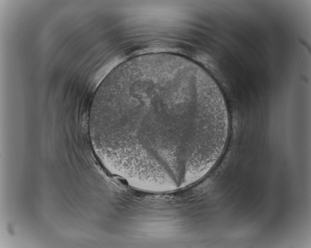 X0000098191185200805221510