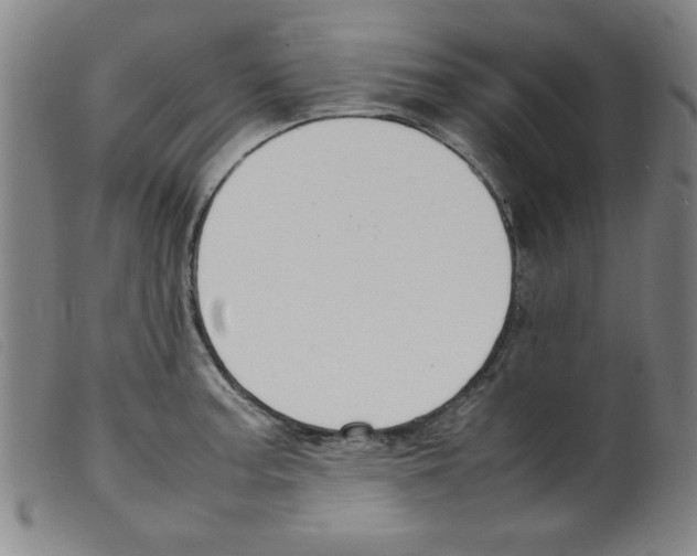 X0000098191187200805221510