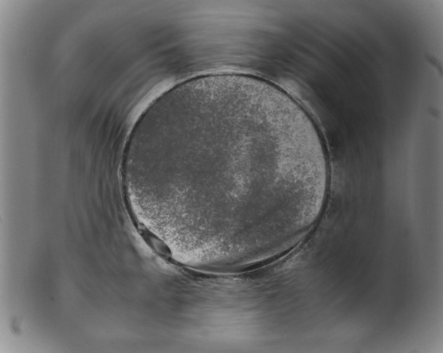 X0000098191189200805221510