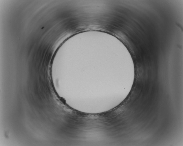 X0000098191190200805221510