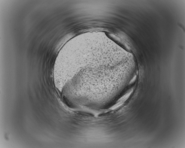 X0000098191193200805221510