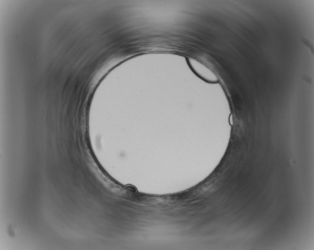 X0000098191195200805221510