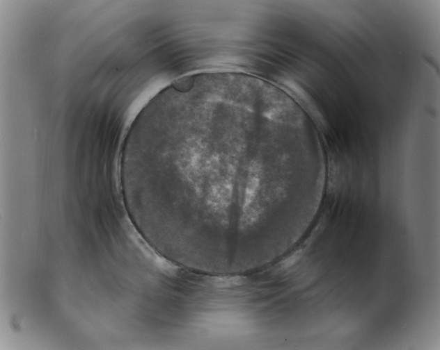 X0000098191196200805221510