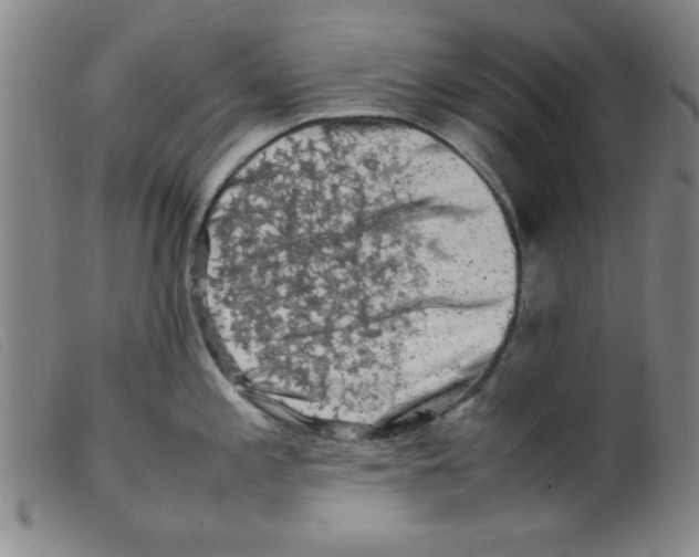 X0000098191197200805221510