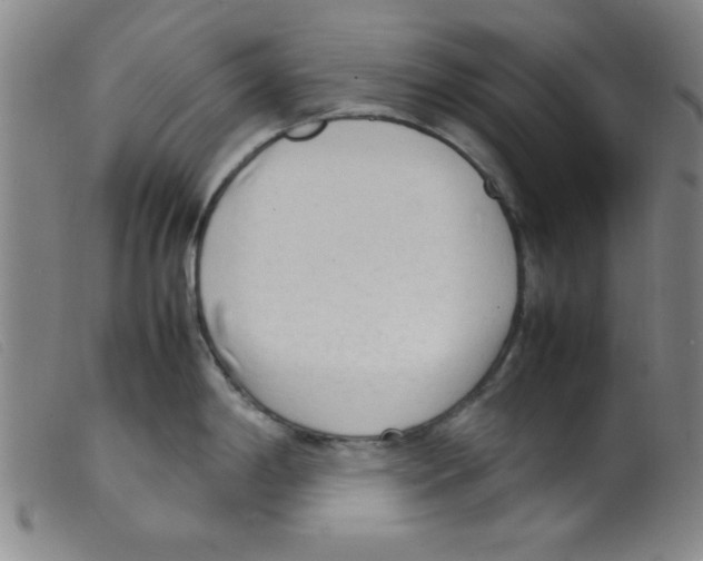 X0000098191198200805221510
