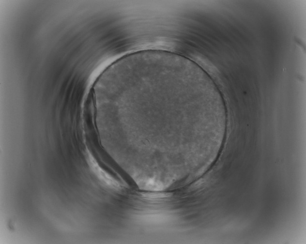 X0000098191200200805221510