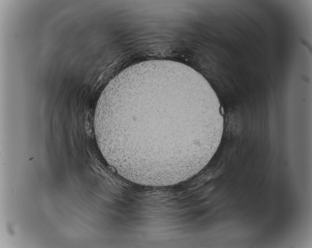 X0000098191202200805221509