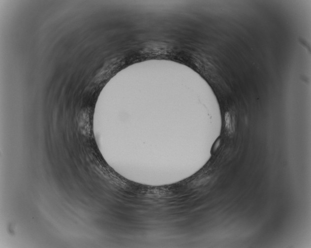 X0000098191203200805221509