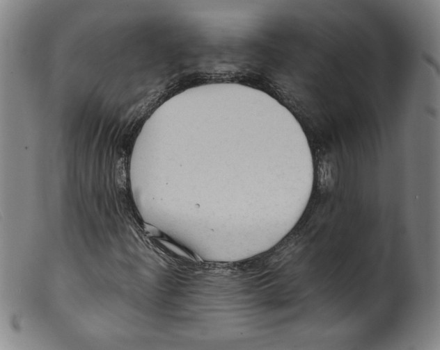 X0000098191204200805221509