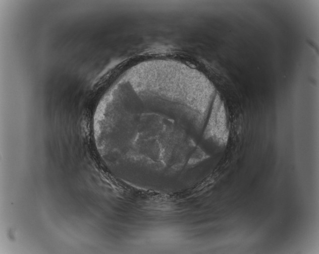 X0000098191206200805221509