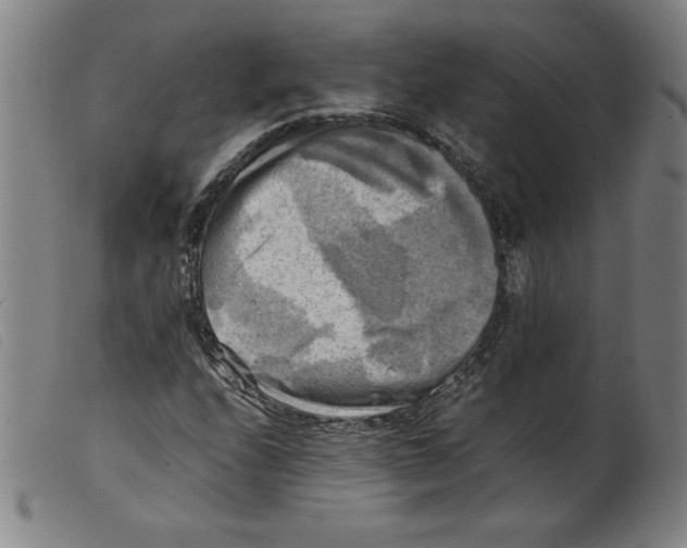 X0000098191208200805221509