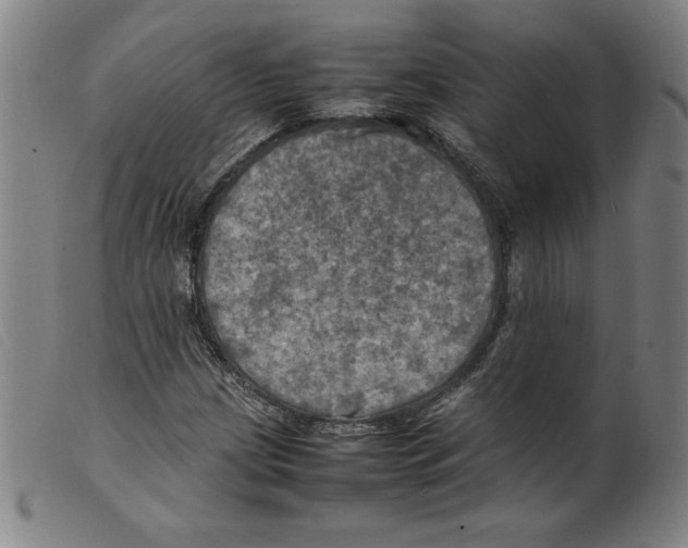 X0000098191209200805221509