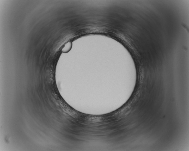 X0000098191211200805221509