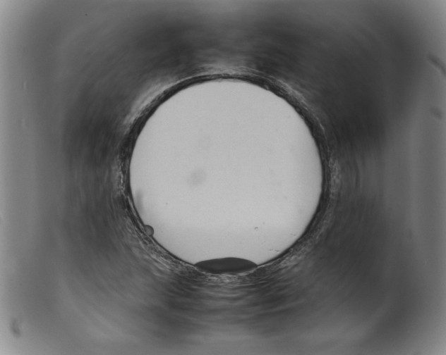 X0000098191215200805221509