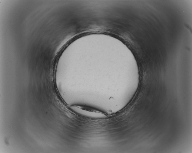 X0000098191216200805221509