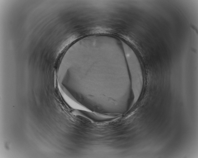 X0000098191219200805221509
