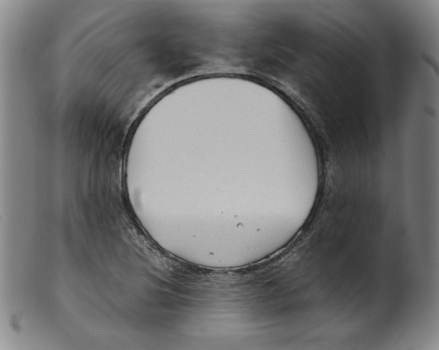 X0000098191220200805221509