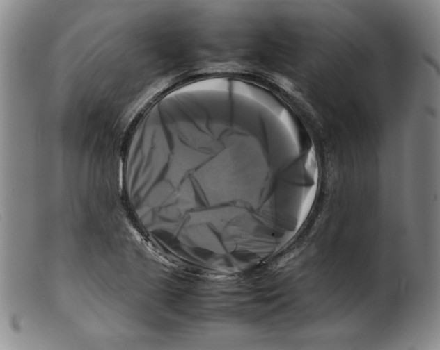 X0000098191221200805221509