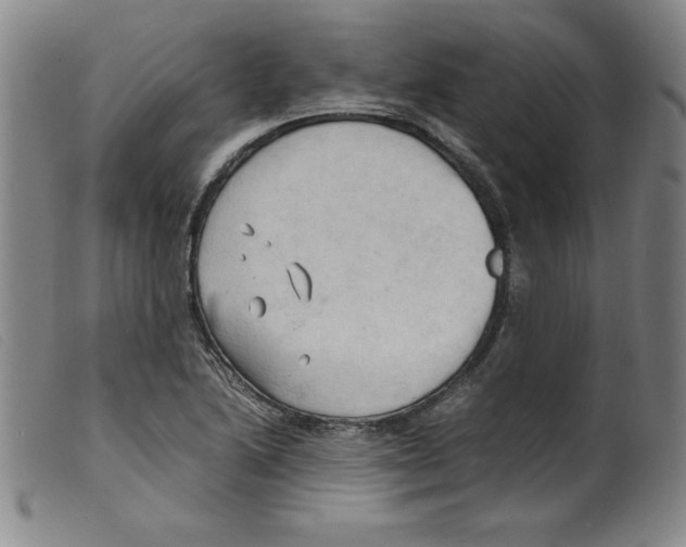 X0000098191222200805221509