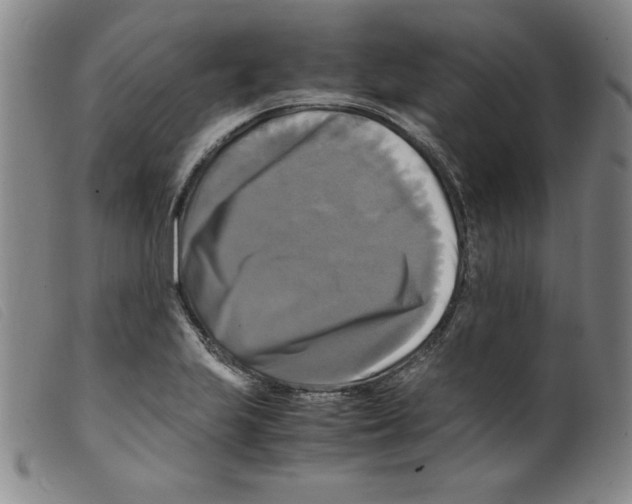 X0000098191223200805221509