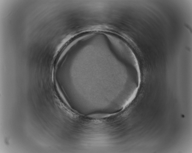X0000098191224200805221509
