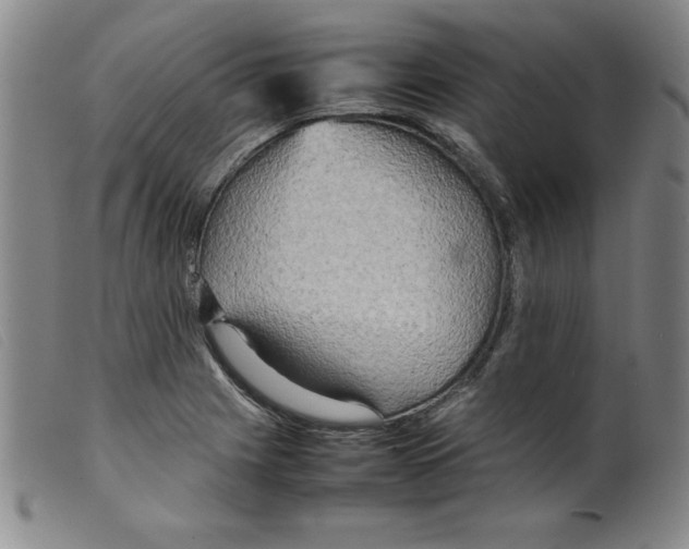 X0000098191225200805221509