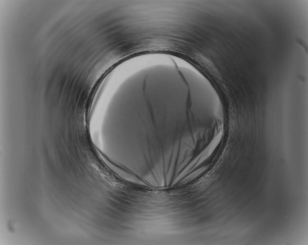 X0000098191226200805221509