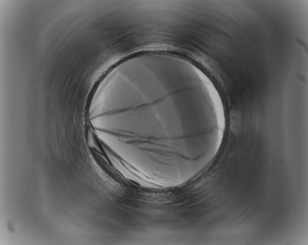X0000098191229200805221509