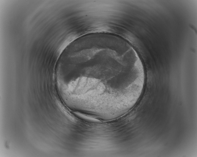 X0000098191234200805221509