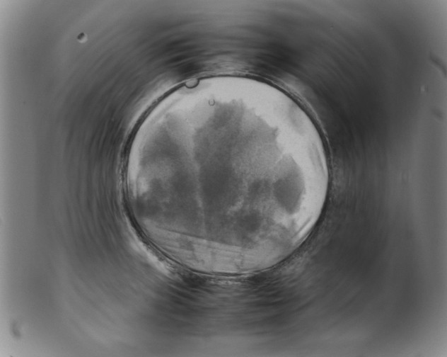 X0000098191235200805221509