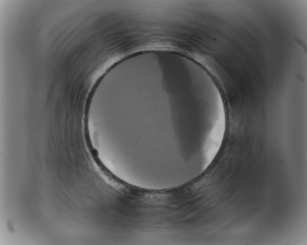 X0000098191237200805221509