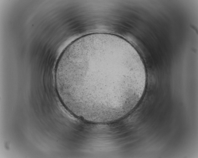 X0000098191238200805221509