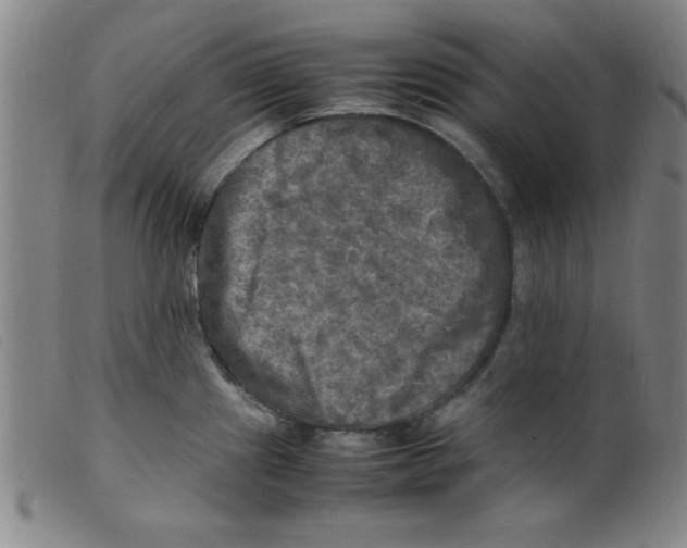 X0000098191241200805221509